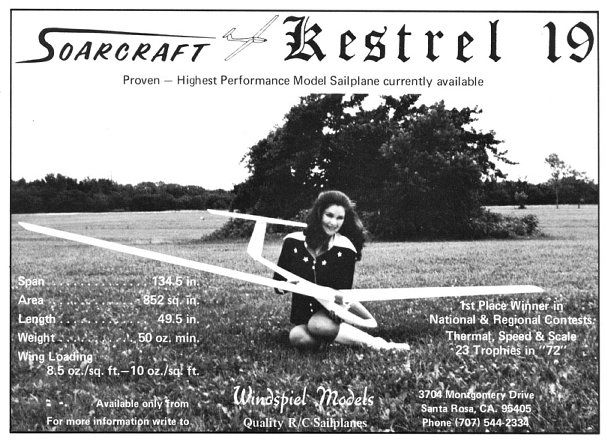 Soarcraft Kestrel 19